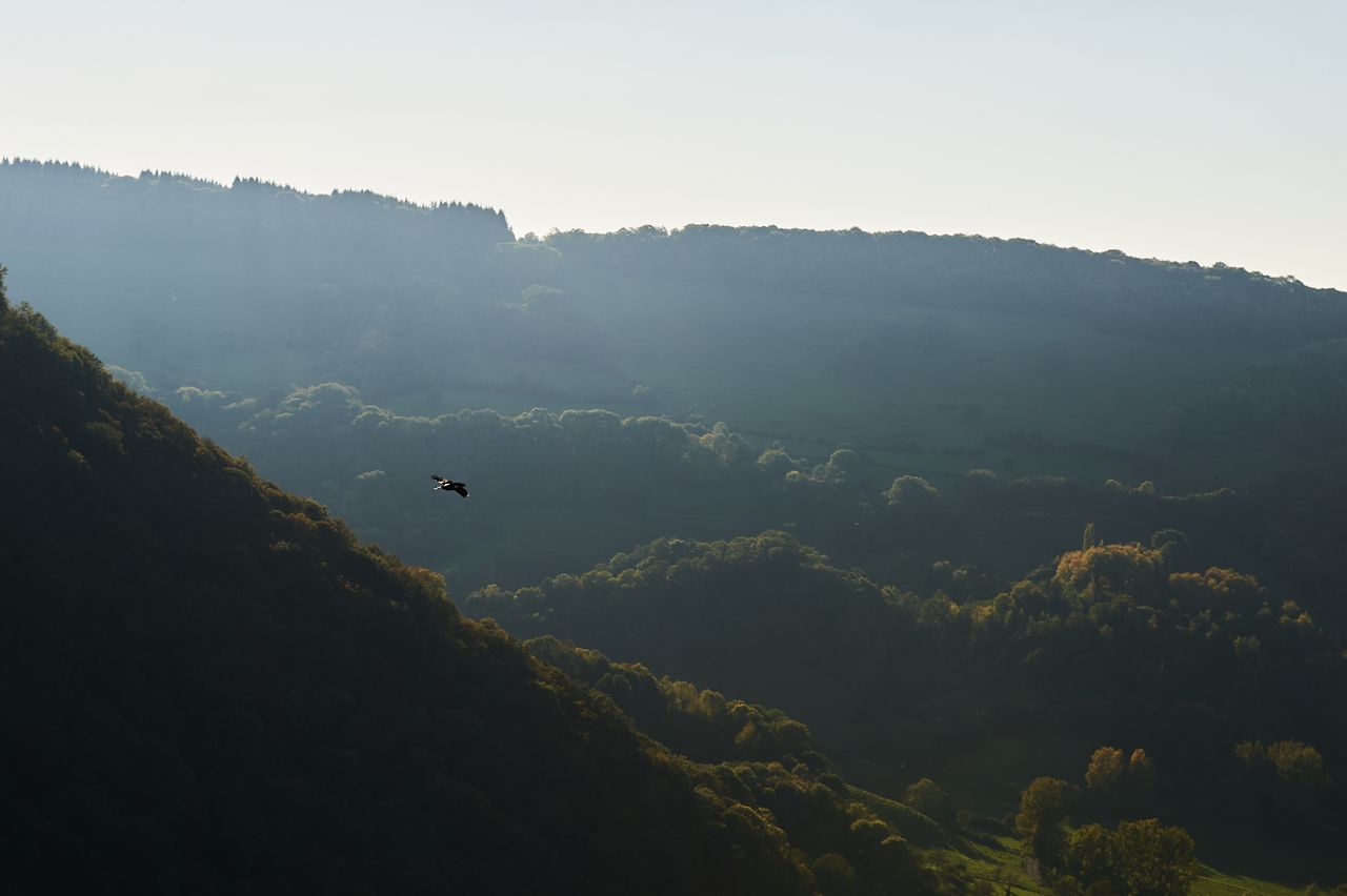 Communes Baume les Messieurs BI-0212